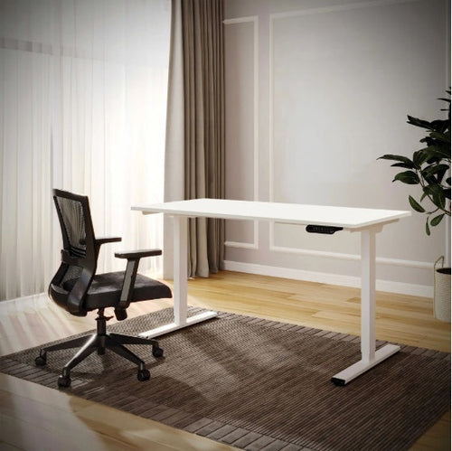 ErgoFlex™ – Electric Standing Desk 55" x 28" with Dual Motor & Memory