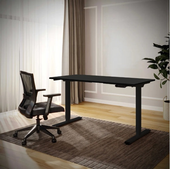 ErgoFlex™ – Electric Standing Desk 55" x 28" with Dual Motor & Memory