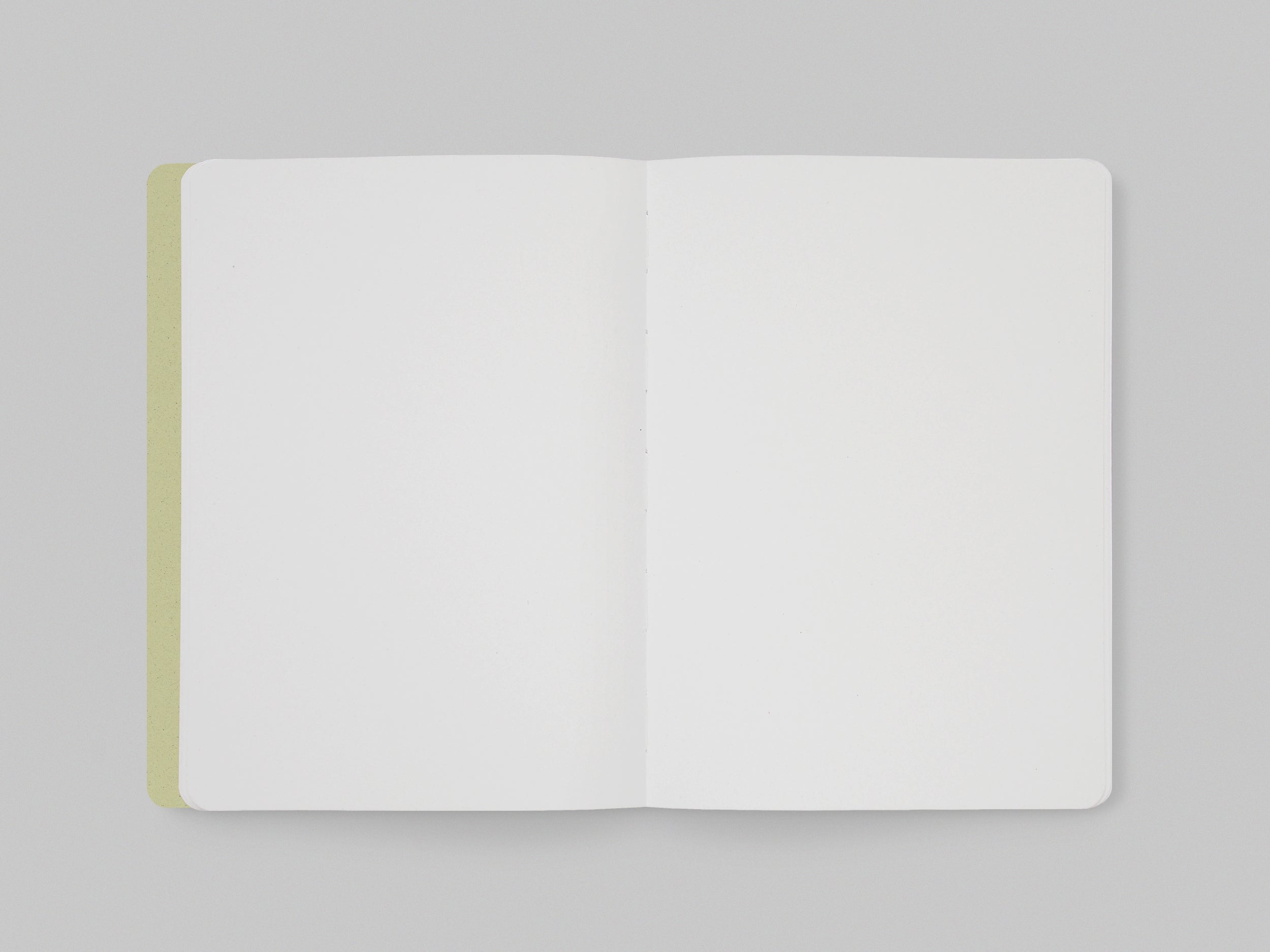 FA VO Notebook Kiwi