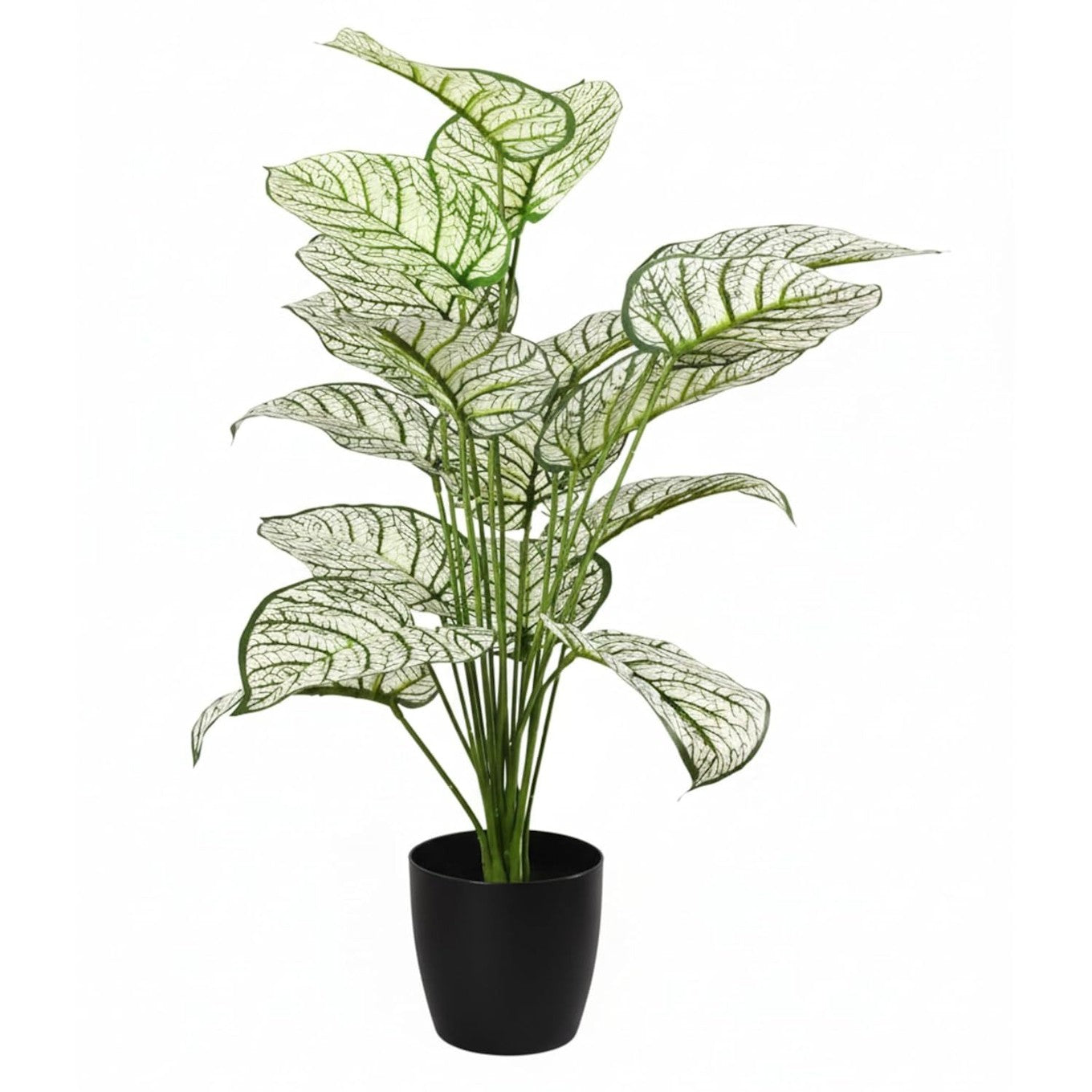 Dieffenbachia Artificial Plant 65cm Tall