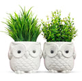 Owl Pot Artificial Plants Set of 2