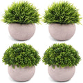Mini Artificial Plants Set for Table Decor